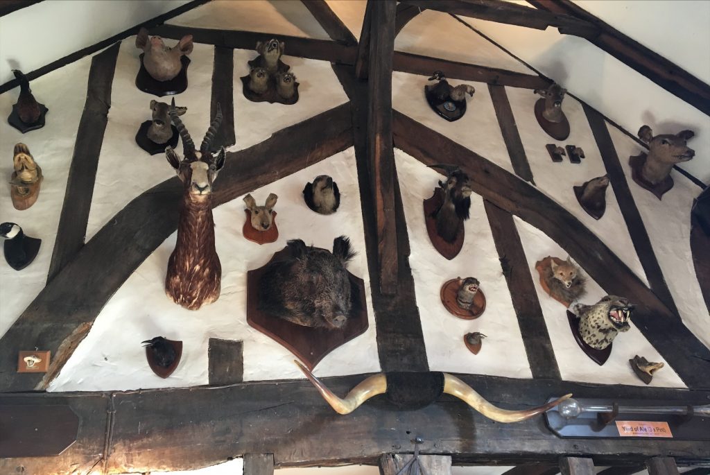 The House of the Trembling Madness wall of animals