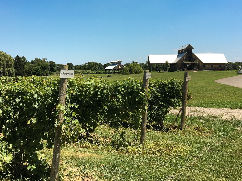 Five awesome wine bars in Cleveland Ohio, plus a couple bonus ideas for wine lovers looking to go a little outside the box.