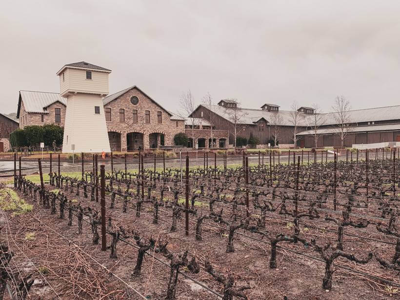 view of vineyard in front of silver oak winery - wineries to visit in napa
