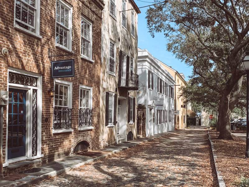 cobblestone street lined with trees and small brown leaves on the ground - fall in charleston sc