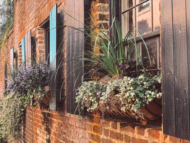 a window box full of colorful flowers - romantic things to do in Charleston SC