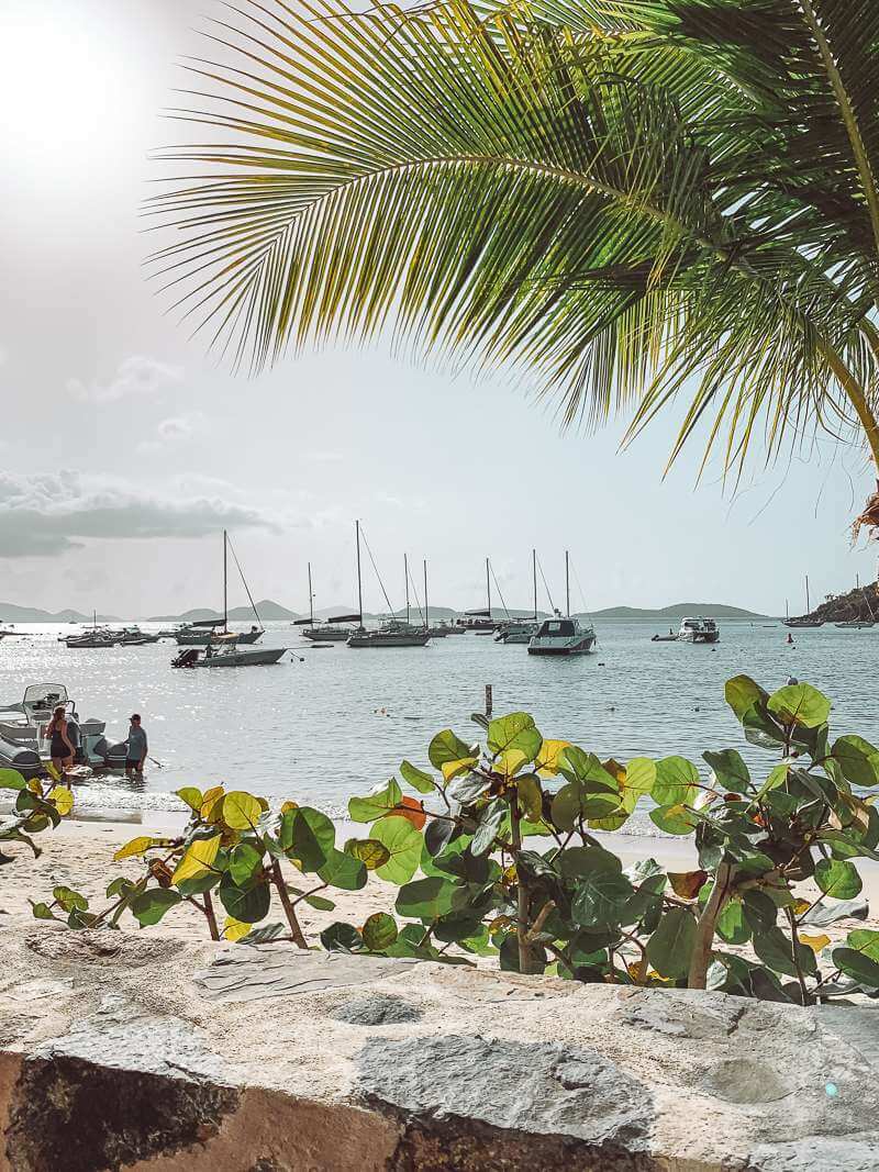 View of boats docked in Coral Harbor near sunset at Rum Hut - best restaurants in St John USVI
