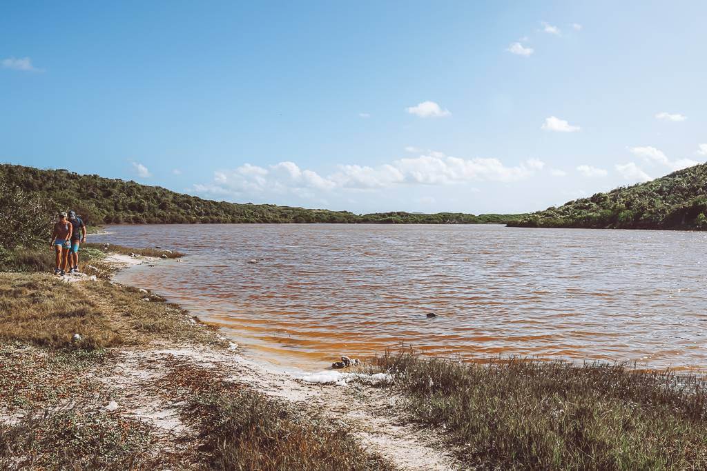 brown waters of salt pond along st john's south shore