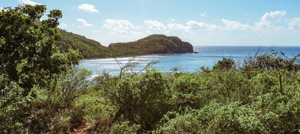 view of the ram head from the trail