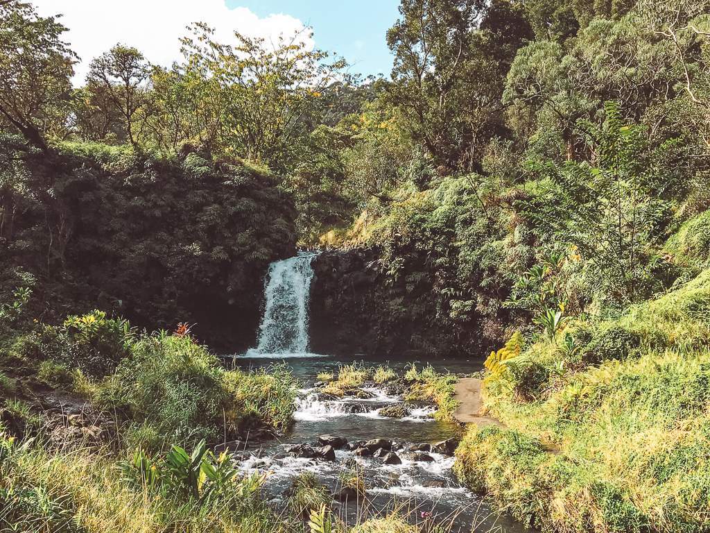 small waterfall gently cascading into a small pool and narrow creek
