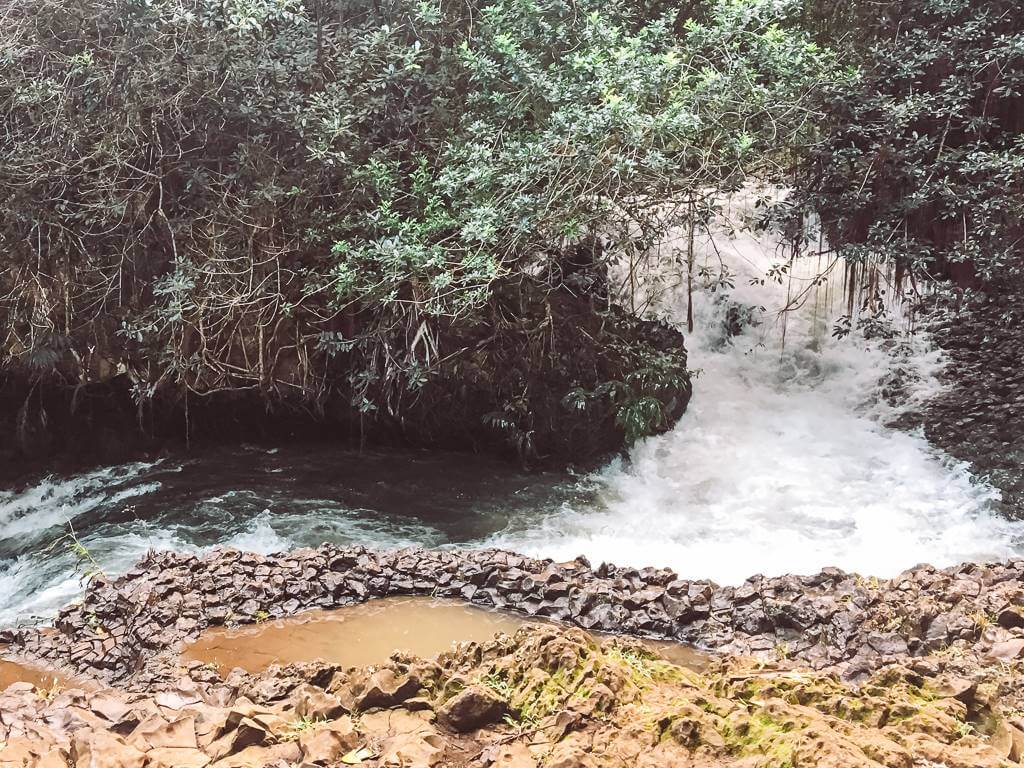 small waterfall on road to hana