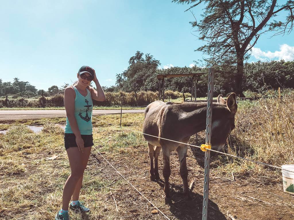 girl standing near donkey off road to hana in maui