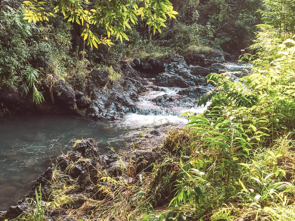 beautiful series of waterfalls on road to hana