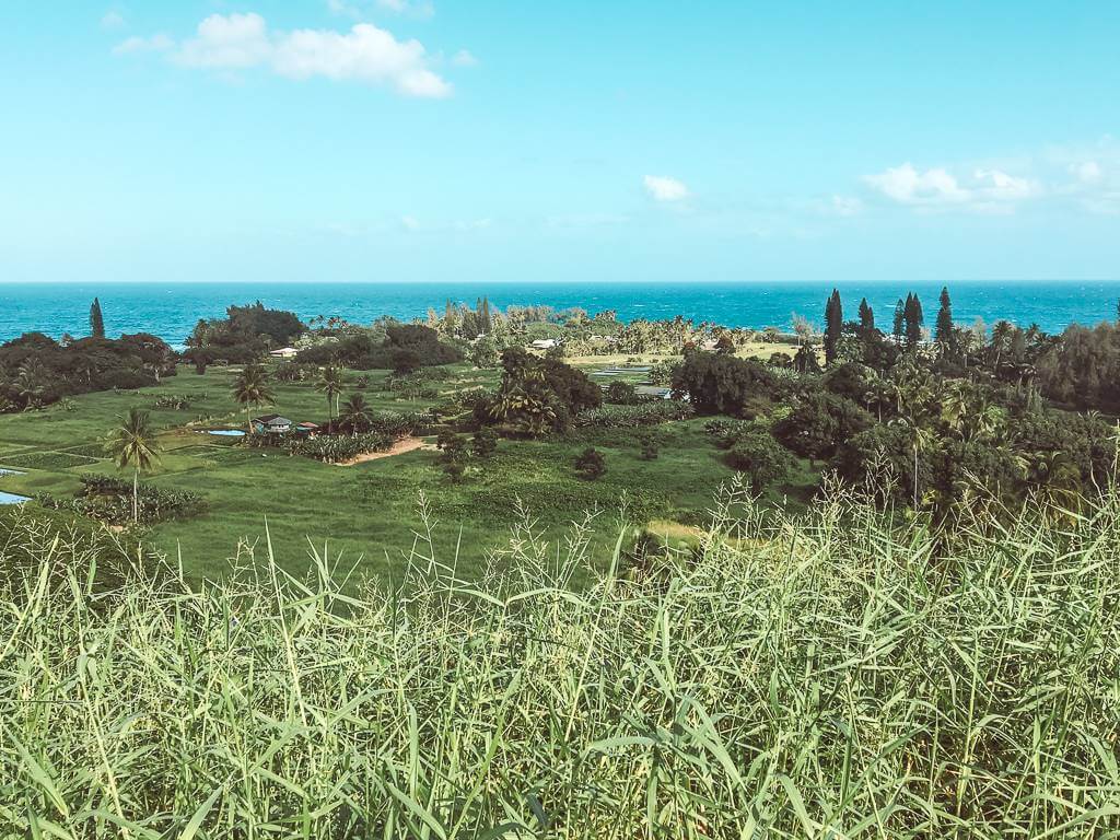 far away view of small village off hana highway