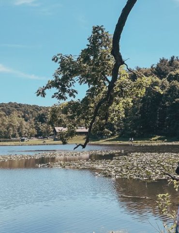 girl standing in front of blue lake surrounded by woods