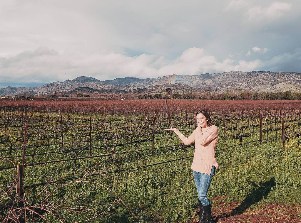 girl in pink sweater posing in front of a vineyard in napa valley
