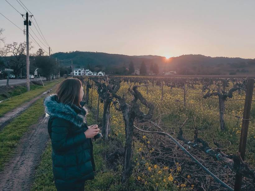 girl taking photos of beautiful sunset over napa valley vineyard