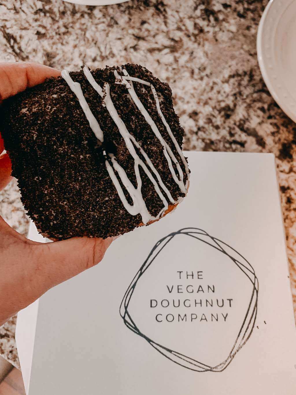 donut and box from vegan doughnut company - road trip from cleveland