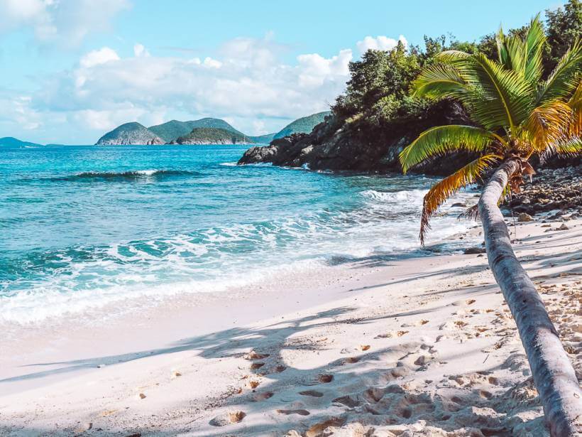 beautiful blue beach and palm tree at denis bay