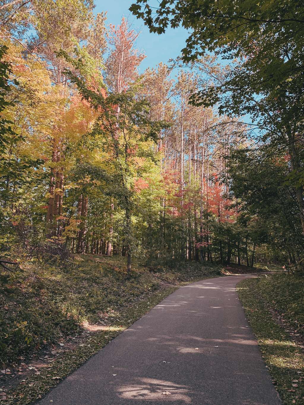 fall foliage along path in amherst ohio