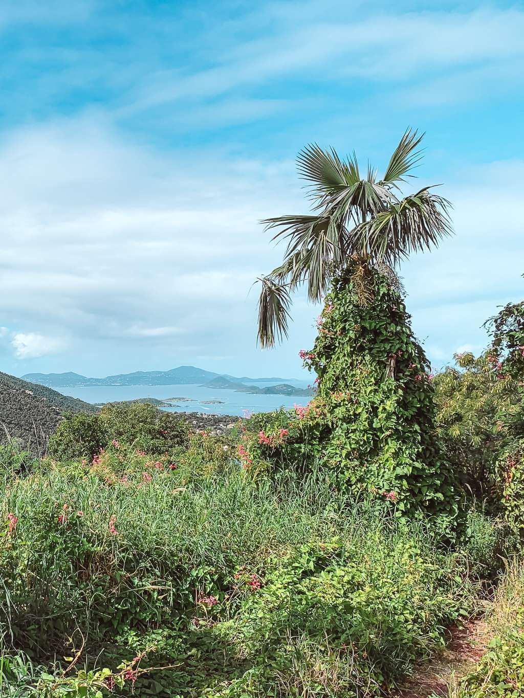 View of the Caribbean from America Hill Trail