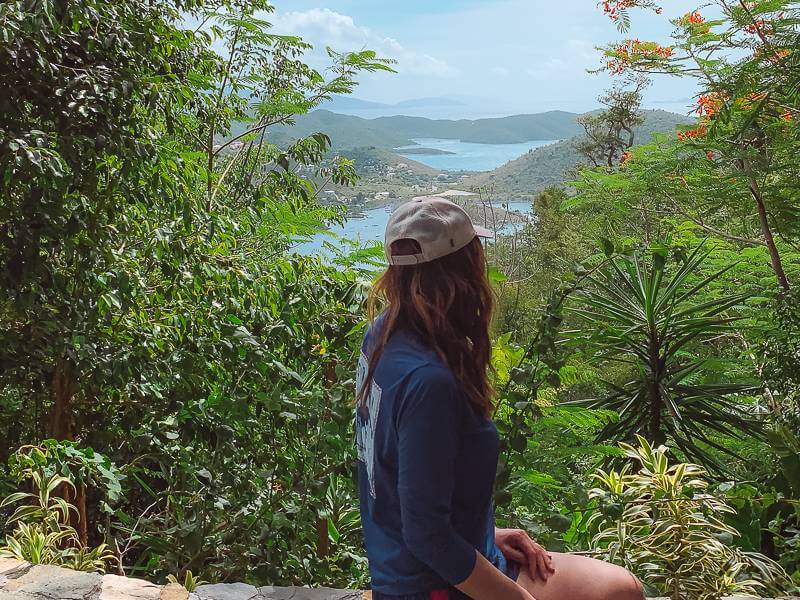 picture of girl sitting on wall and overlooking Coral Harbor - cockroach in apartment