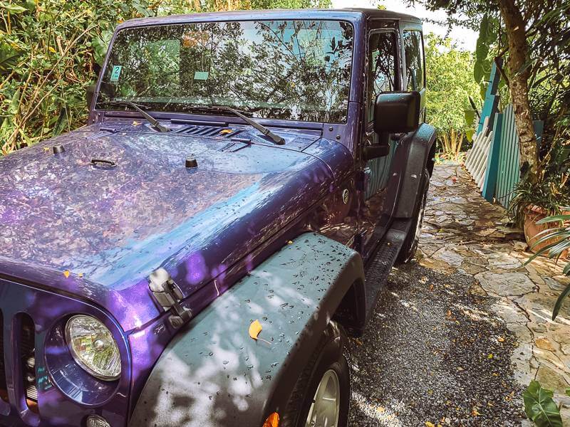 Purple Jeep parked in shady stone driveway