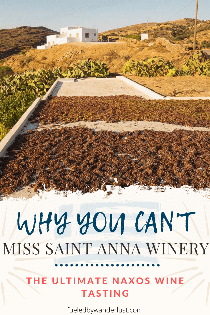 Wine tasting is one of the best things to do in Naxos, Greece. If you love wine, then you must visit Saint Anna Winery in Naxos on your next trip to Greece. The Cyclades island group is known for producing excellent Greek wines, especially dry white wines. Saint Anna Winery in Naxos, Greece does an amazing two-hour wine tasting and tour that should be included on any itinerary.
