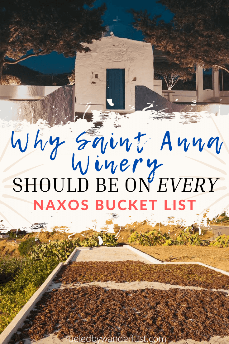 Wine tasting is one of the best things to do in Naxos, Greece. If you love wine, then you must visit Saint Anna Winery in Naxos on your next trip to Greece. The Cyclades island group is known for producing excellent Greek wines, especially dry white wines. Saint Anna Winery in Naxos, Greece does an amazing two-hour wine tasting and tour that should be included on any itinerary.