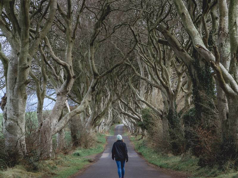 Girl in black jacket and blue pants strolling through Dark Hedges - antrim coast northern ireland