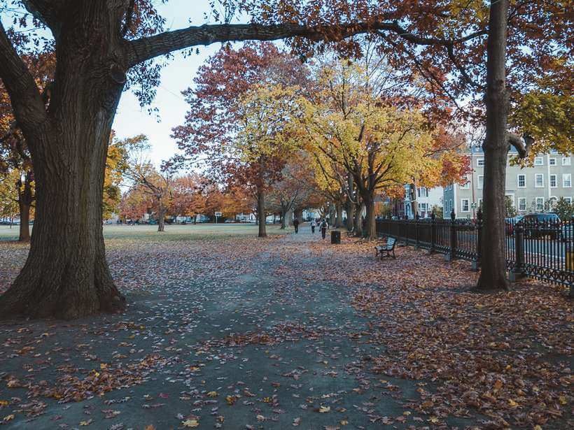 Colorful foliage along path through Salem Common