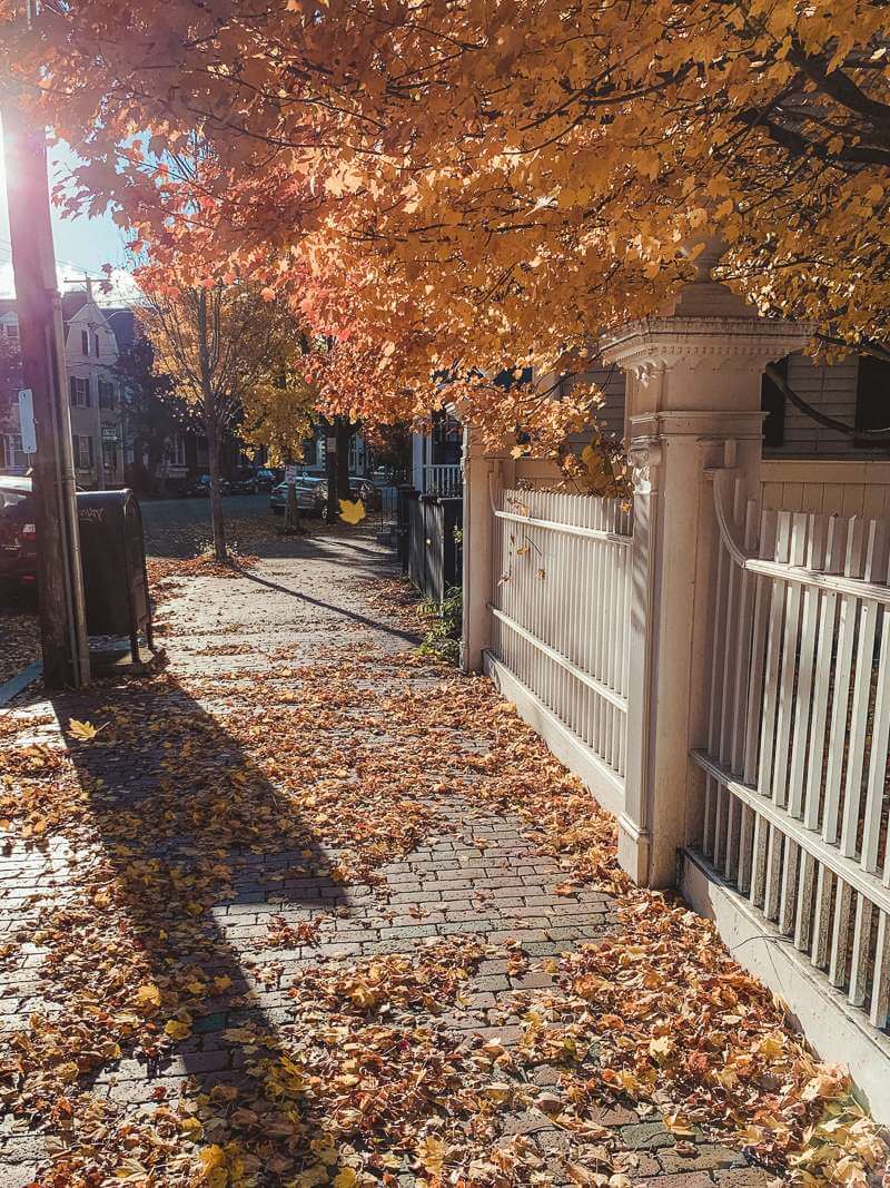 Orange leaf canopy over leaf-covered sidewalk in Salem MA
