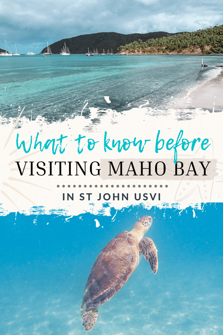 How to spend one day at Maho Bay Beach on St. John in the US Virgin Islands. Maho Bay is one of the best and calmest beaches in the USVI's. There are so many things to do, from snorkeling, to Maho Crossroads, to paddling on the water. Here are all the best tips for the perfect day at Maho Bay Beach.