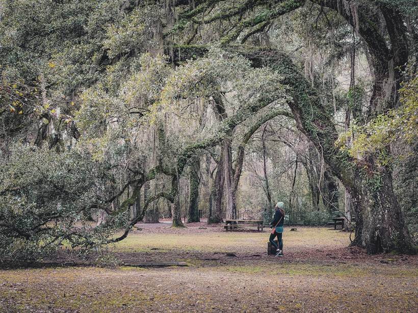 Girl standing under giant live oak branches outside Beaufort, South Carolina - charleston sc to savannah ga road trip