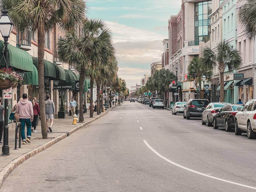 King Street lined with palmetto trees in Charleston, SC during road trip to Savannah, GA