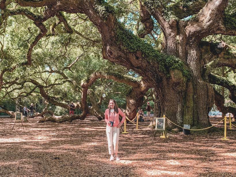Girl wearing pink sweatshirt standing beside the Angel Oak - Savannah vs Charleston