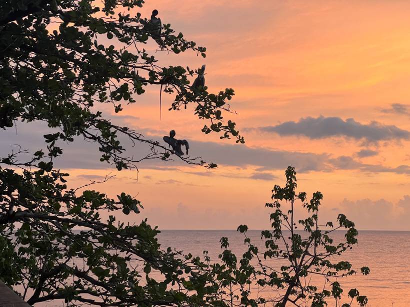 Oranges and pinks streaking the sky on the west side of Puerto Rico