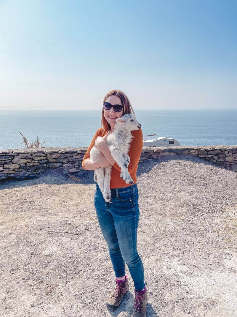Woman in orange long sleeve shirt wearing sunglasses and jeans holding a white baby lamb near the ocean