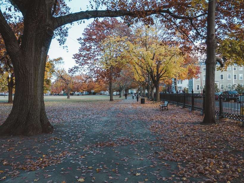A leaf-strewn path through Salem Common during autumn