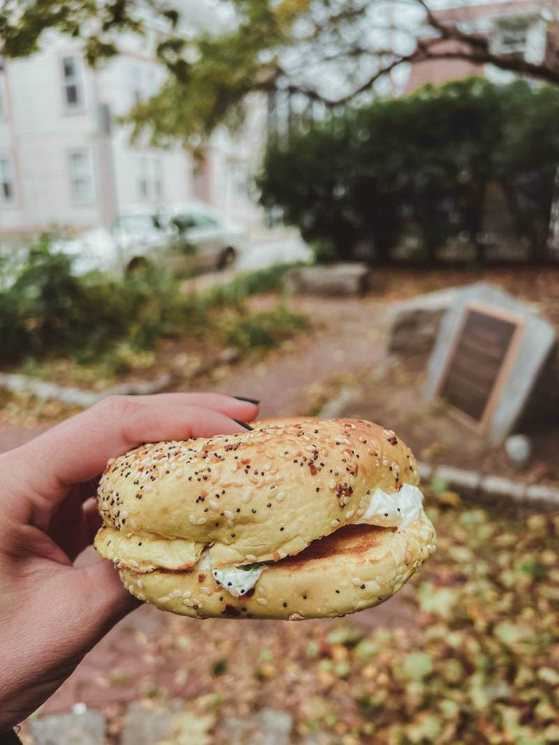 Hand holding bagel sandwich in front of brick leaf-strewn path in Salem, MA
